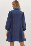 TINLEY DENIM DRESS