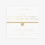 FRIENDSHIP IS A KNOT BRACELET