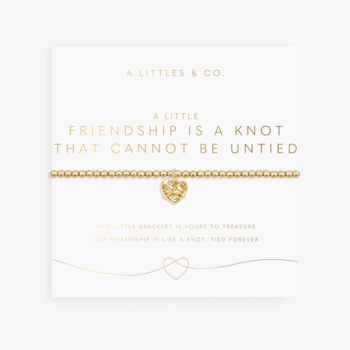 FRIENDSHIP IS A KNOT BRACELET