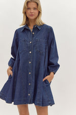 TINLEY DENIM DRESS