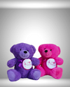 HGSOD PLUSH BEAR
