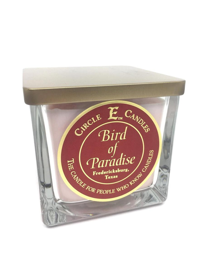 CIRCLE E CANDLE- BIRD OF PARADISE 22OZ DOUBLE WICKED CANDLE