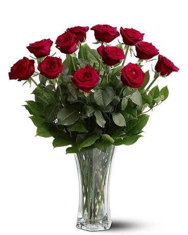A Dozen Premium Red Roses